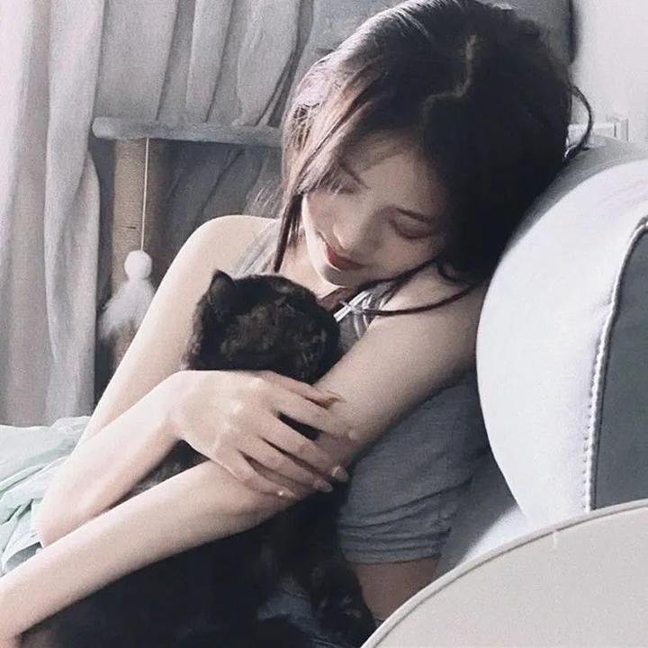 动物狂想曲第二季