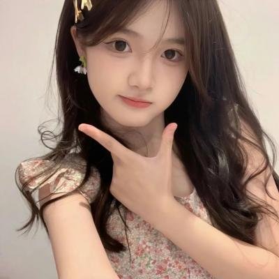 圣诞狗狗1:全面搜寻
